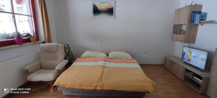 Apartmaji Bostjan Pristavec Kranjska Gora Ngoại thất bức ảnh